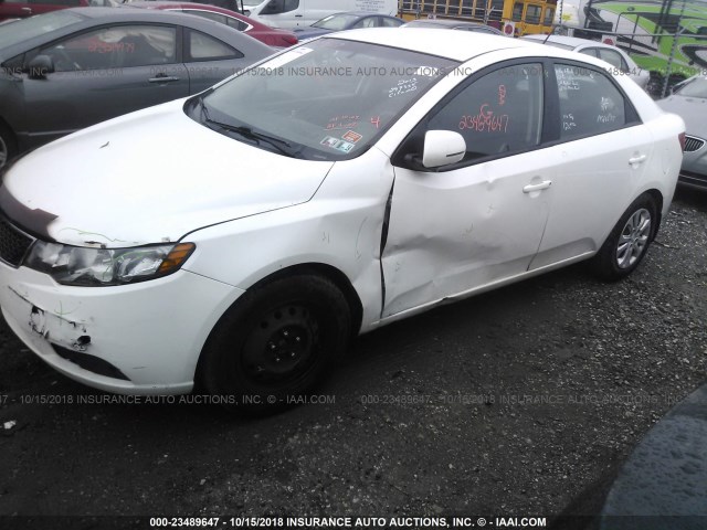 KNAFU4A2XD5662664 - 2013 KIA FORTE EX WHITE photo 2