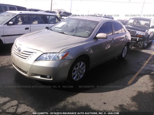 4T1BE46K49U871365 - 2009 TOYOTA CAMRY SE/LE/XLE GOLD photo 2