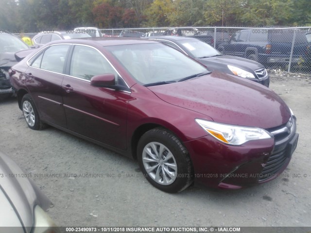 4T1BF1FK6HU661554 - 2017 TOYOTA CAMRY LE/XLE/SE/XSE RED photo 1