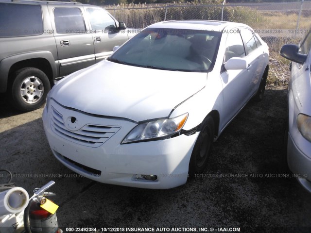 4T4BE46K59R088965 - 2009 TOYOTA CAMRY SE/LE/XLE WHITE photo 2