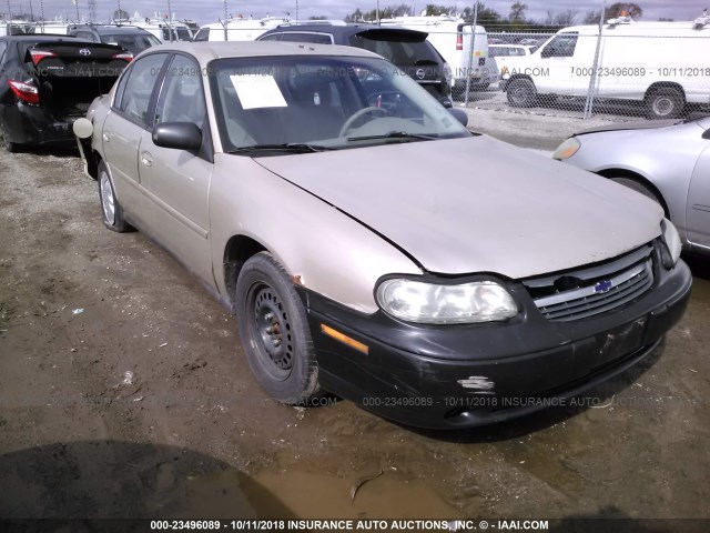 1G1ND52F25M113207 - 2005 CHEVROLET CLASSIC TAN photo 1