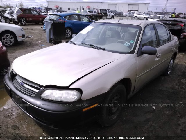 1G1ND52F25M113207 - 2005 CHEVROLET CLASSIC TAN photo 2