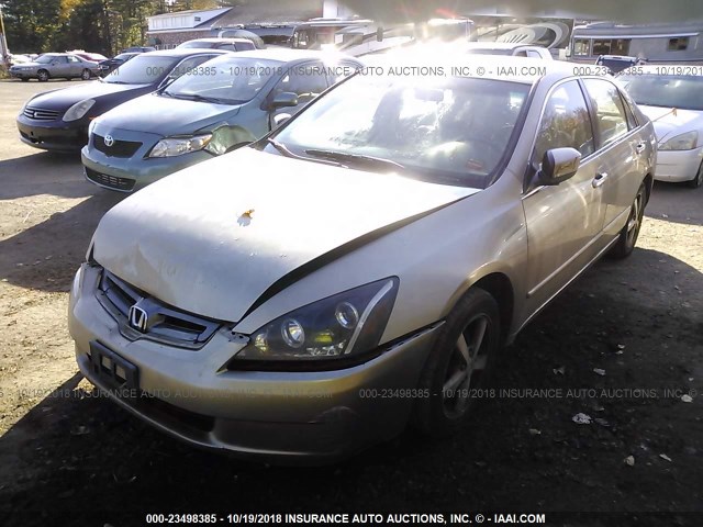 1HGCM56824A091978 - 2004 HONDA ACCORD GOLD photo 2