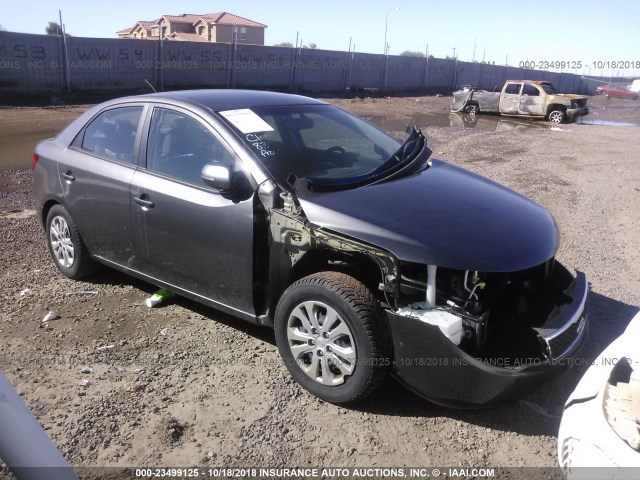 KNAFU4A25D5701371 - 2013 KIA FORTE EX GRAY photo 1