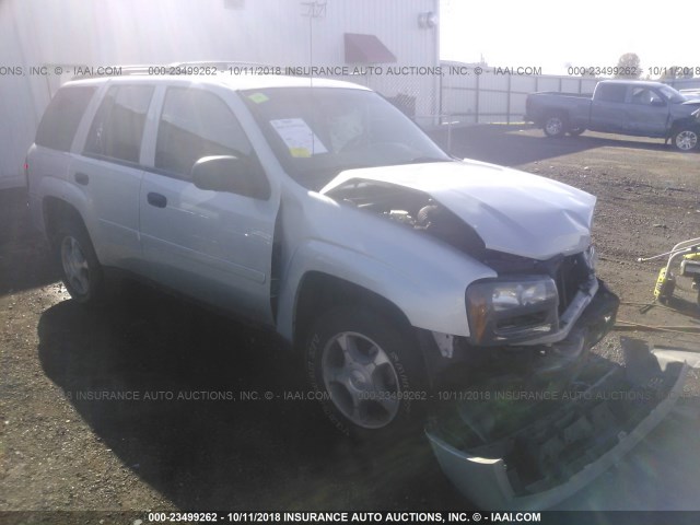 1GNDT13S582231656 - 2008 CHEVROLET TRAILBLAZER LS/LT SILVER photo 1