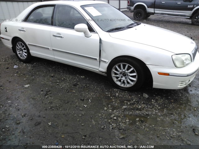 KMHFU45E64A314080 - 2004 HYUNDAI XG 350 WHITE photo 6