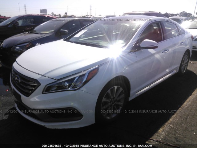 5NPE34AF2GH422906 - 2016 HYUNDAI SONATA SPORT/LIMITED WHITE photo 2