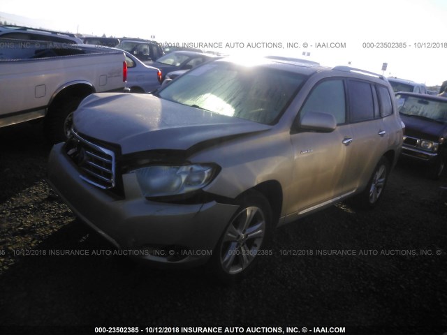 5TDDK3EH7AS029537 - 2010 TOYOTA HIGHLANDER LIMITED GOLD photo 2