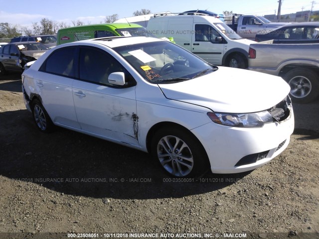 KNAFU4A24C5620649 - 2012 KIA FORTE EX WHITE photo 1