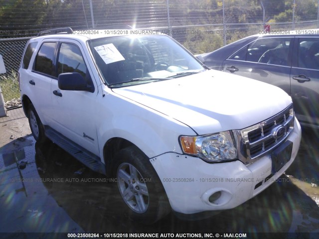 1FMCU4K38BKA76438 - 2011 FORD ESCAPE HYBRID WHITE photo 1