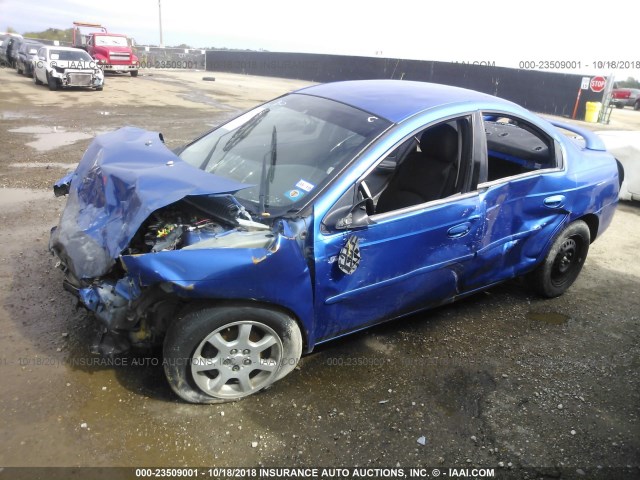 1B3ES56C65D144216 - 2005 DODGE NEON SXT BLUE photo 2