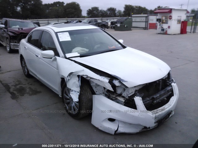 1HGCP3F88BA026982 - 2011 HONDA ACCORD EXL WHITE photo 1