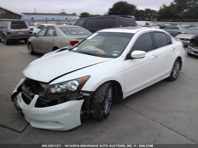 1HGCP3F88BA026982 - 2011 HONDA ACCORD EXL WHITE photo 2