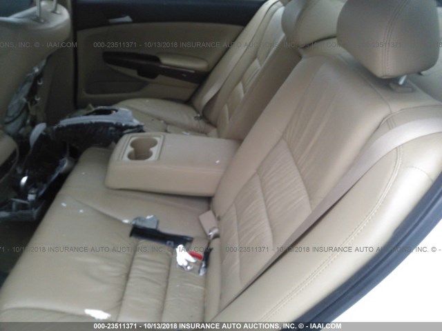 1HGCP3F88BA026982 - 2011 HONDA ACCORD EXL WHITE photo 8