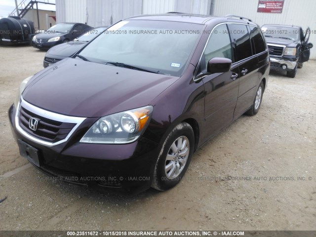 5FNRL3H68AB021223 - 2010 HONDA ODYSSEY EXL MAROON photo 2