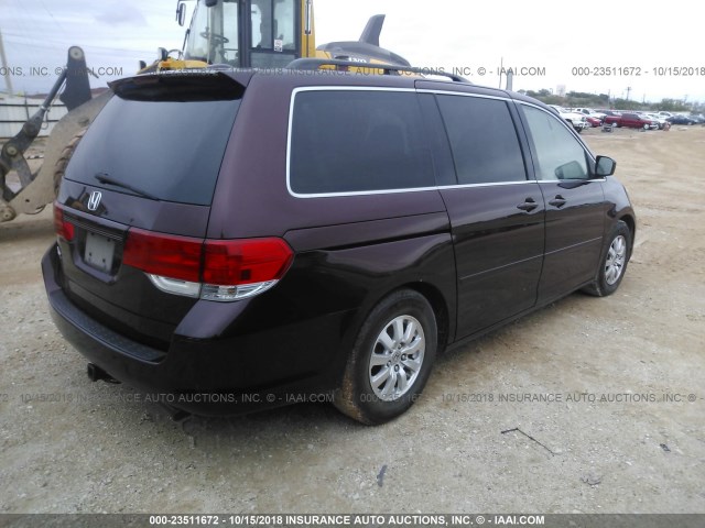 5FNRL3H68AB021223 - 2010 HONDA ODYSSEY EXL MAROON photo 4