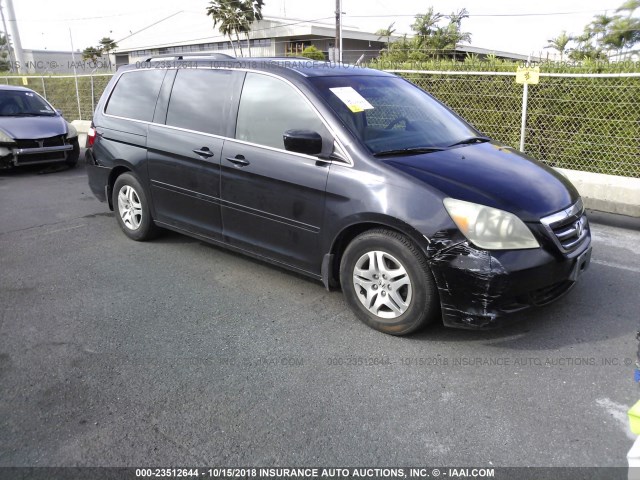 5FNRL38795B010892 - 2005 HONDA ODYSSEY EXL BLACK photo 1