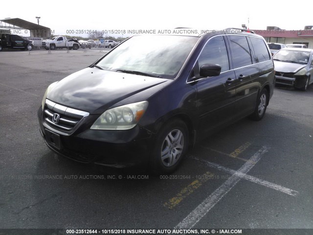 5FNRL38795B010892 - 2005 HONDA ODYSSEY EXL BLACK photo 2