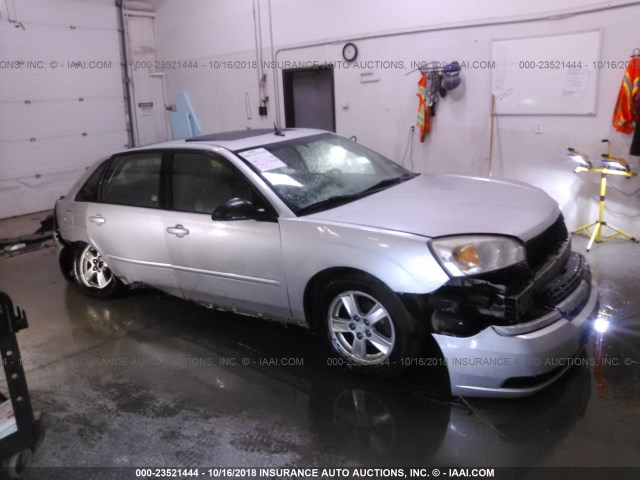 1G1ZT64864F169503 - 2004 CHEVROLET MALIBU MAXX LS SILVER photo 1