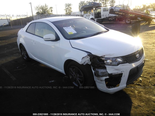 KNAFU6A22C5546627 - 2012 KIA FORTE EX WHITE photo 1