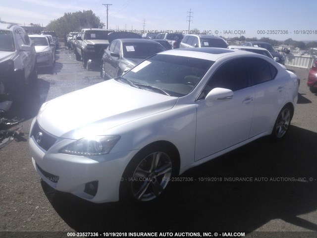 JTHBF5C29C5167397 - 2012 LEXUS IS 250 WHITE photo 2