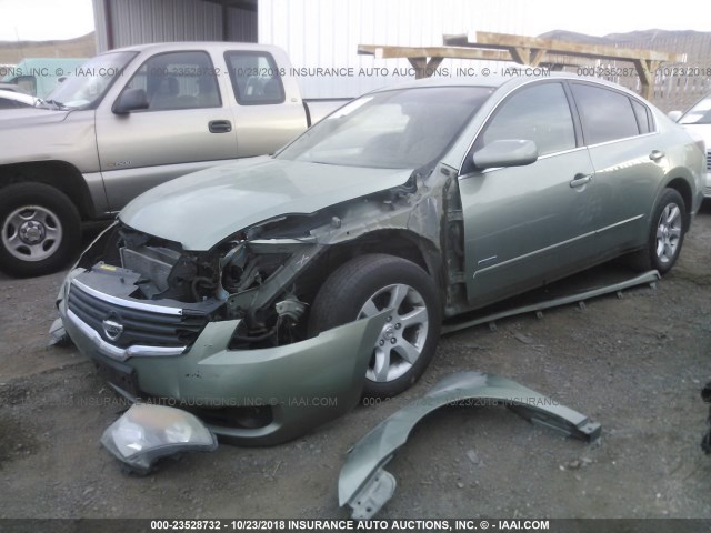 1N4CL21E58C203265 - 2008 NISSAN ALTIMA HYBRID GREEN photo 2