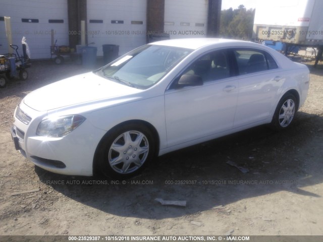 1G1ZA5EU6CF392456 - 2012 CHEVROLET MALIBU LS WHITE photo 2