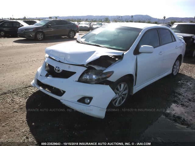 1NXBU4EE1AZ245985 - 2010 TOYOTA COROLLA S/LE/XLE WHITE photo 2