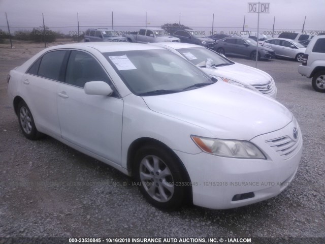 4T1BE46K29U808765 - 2009 TOYOTA CAMRY SE/LE/XLE WHITE photo 1