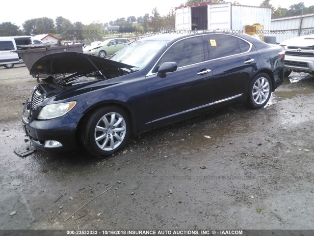 JTHBL46F085075779 - 2008 LEXUS LS 460 BLUE photo 2