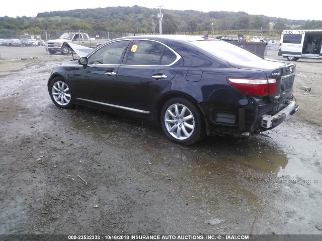 JTHBL46F085075779 - 2008 LEXUS LS 460 BLUE photo 3