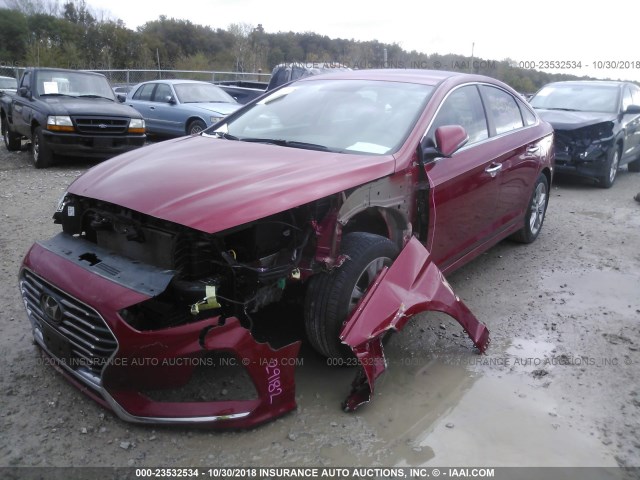 5NPE34AF1JH629598 - 2018 HYUNDAI SONATA SPORT/LIMITED RED photo 2