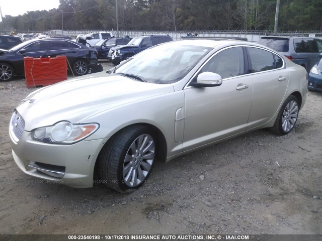 SAJWA06B29HR27498 - 2009 JAGUAR XF PREMIUM LUXURY GOLD photo 2