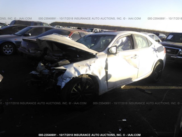 JTHBA1D20J5071449 - 2018 LEXUS IS 300 WHITE photo 2