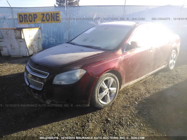 1G1ZD5EB5AF149563 - 2010 CHEVROLET MALIBU 2LT MAROON photo 2