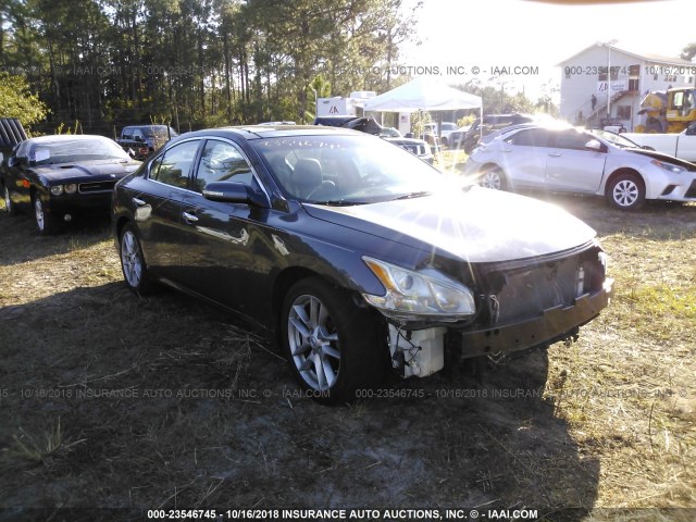 1N4AA5AP9AC860396 - 2010 NISSAN MAXIMA S/SV GRAY photo 1