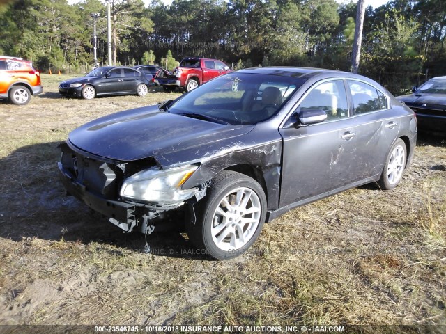 1N4AA5AP9AC860396 - 2010 NISSAN MAXIMA S/SV GRAY photo 2