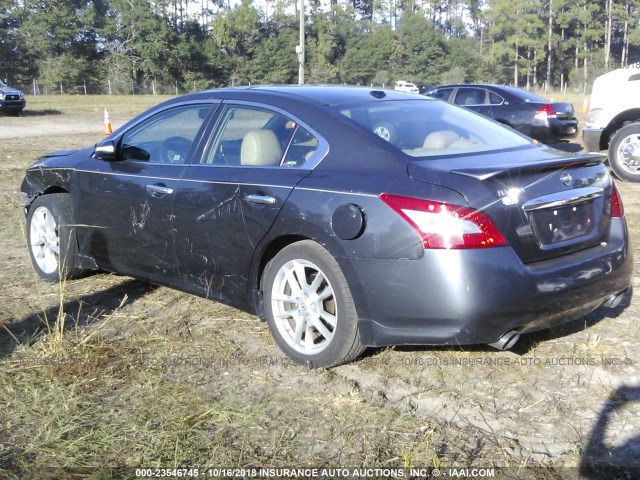 1N4AA5AP9AC860396 - 2010 NISSAN MAXIMA S/SV GRAY photo 3