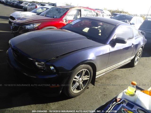 1ZVBP8AM5B5103678 - 2011 FORD MUSTANG BLUE photo 2