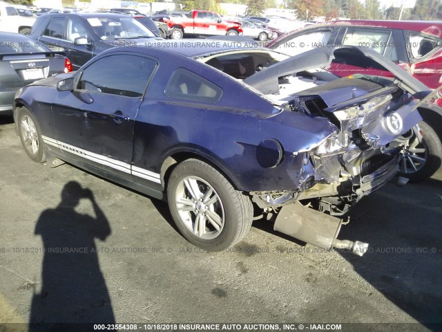 1ZVBP8AM5B5103678 - 2011 FORD MUSTANG BLUE photo 3