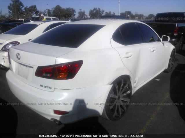 JTHBK262965003349 - 2006 LEXUS IS 250 WHITE photo 4