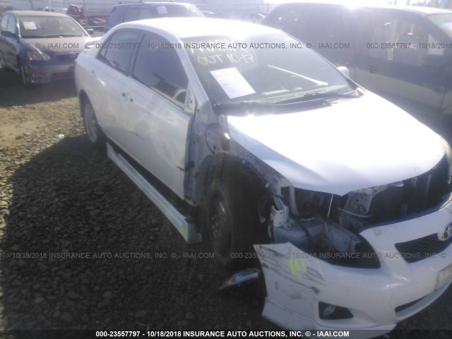 1NXBU40E29Z105768 - 2009 TOYOTA COROLLA S/LE/XLE WHITE photo 6