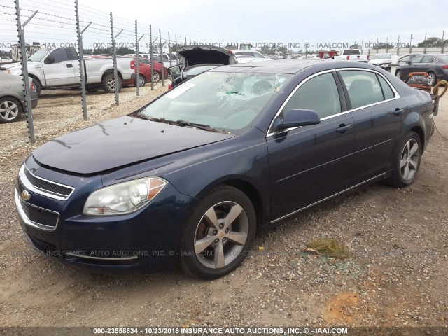 1G1ZC5E11BF138927 - 2011 CHEVROLET MALIBU 1LT BLUE photo 2