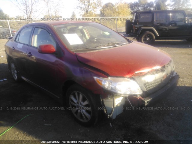 1NXBU40E19Z110637 - 2009 TOYOTA COROLLA S/LE/XLE RED photo 1