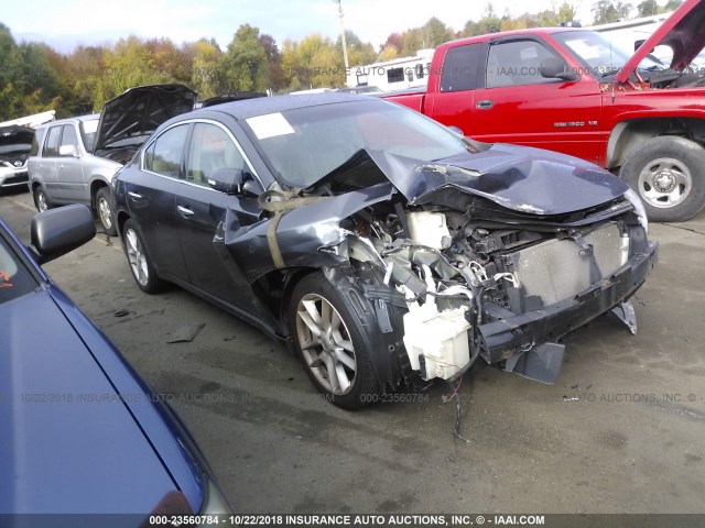 1N4AA51E59C832041 - 2009 NISSAN MAXIMA S/SV GRAY photo 1