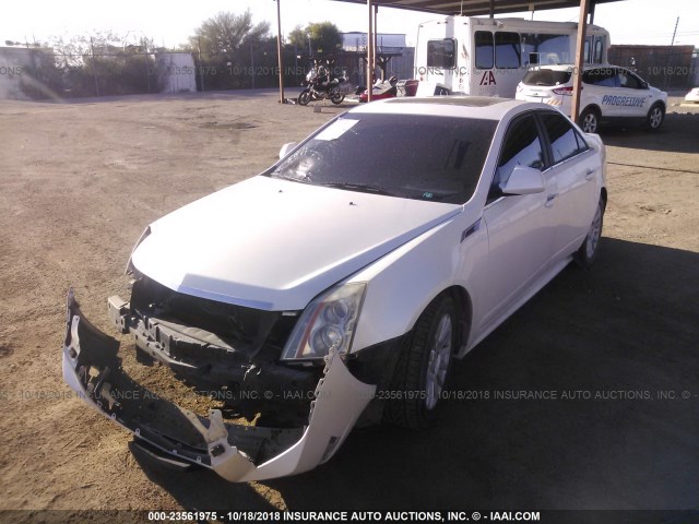 1G6DF5EYXB0104187 - 2011 CADILLAC CTS LUXURY COLLECTION WHITE photo 2