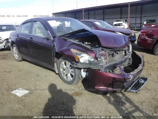 1HGCP26449A198962 - 2009 HONDA ACCORD LXP MAROON photo 1