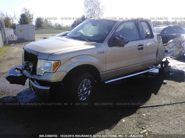 1FTFX1EFXBFC18374 - 2011 FORD F150 SUPER CAB GOLD photo 2