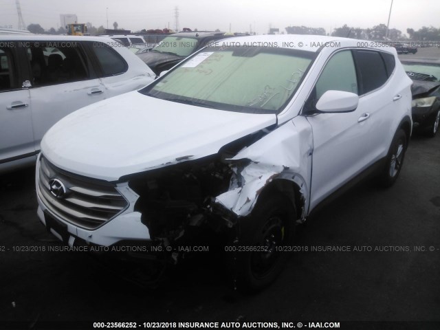 5NMZT3LB2JH053569 - 2018 HYUNDAI SANTA FE SPORT  WHITE photo 2