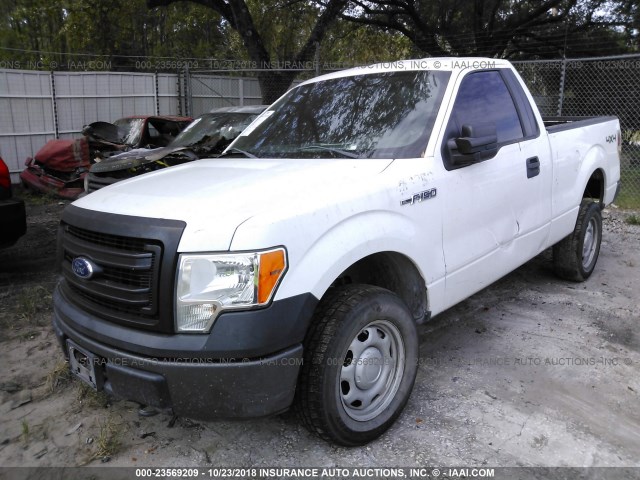 1FTMF1EMXDKE98963 - 2013 FORD F150 WHITE photo 2